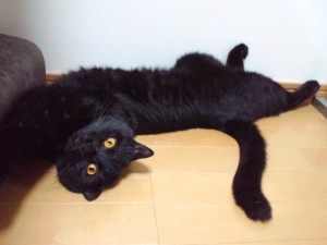 CA3F0708